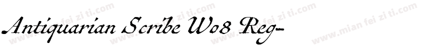 Antiquarian Scribe W08 Reg字体转换